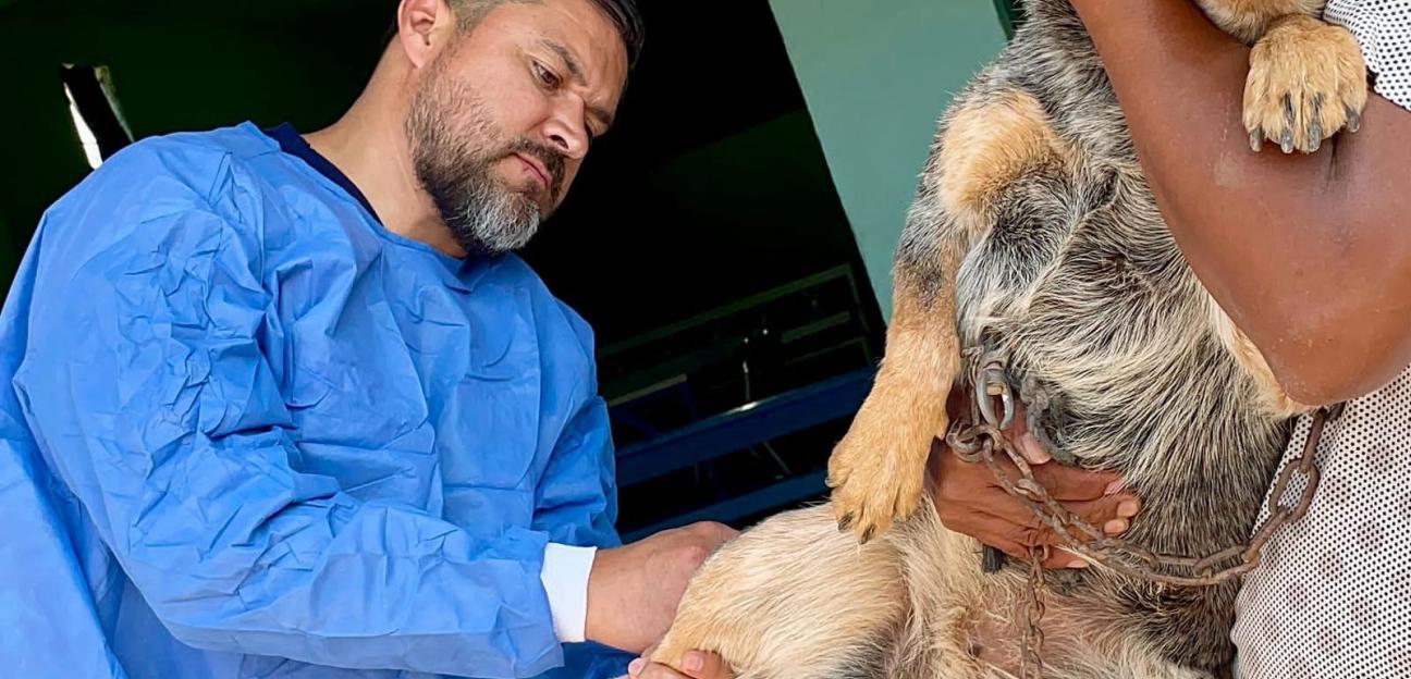 VILLA DE POZOS COMPROMETIDO CON LA PROTECCIÓN ANIMAL