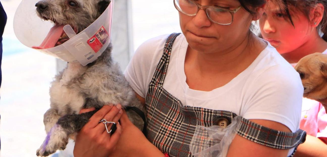 VILLA DE POZOS BUSCA CREAR PROGRAMA PERMANENTE DE ESTERILIZACIÓN EN ANIMALES