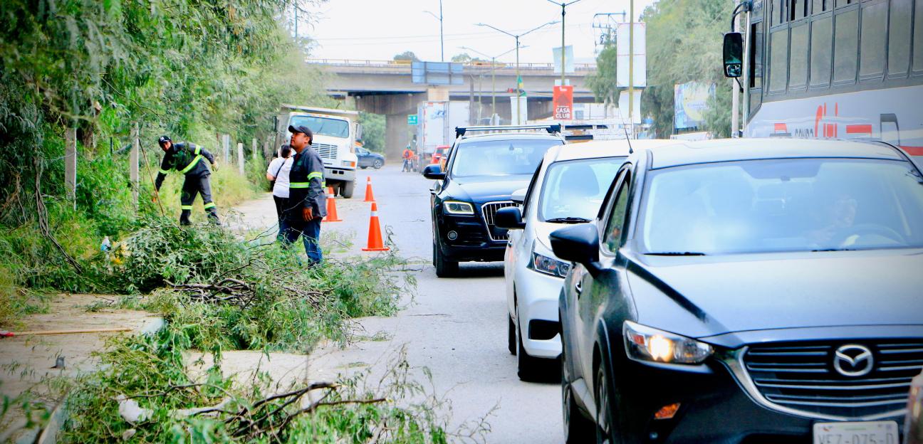 VILLA DE POZOS MEJORÓ SEGURIDAD VIAL EN BOSQUE DE LAS FLORES