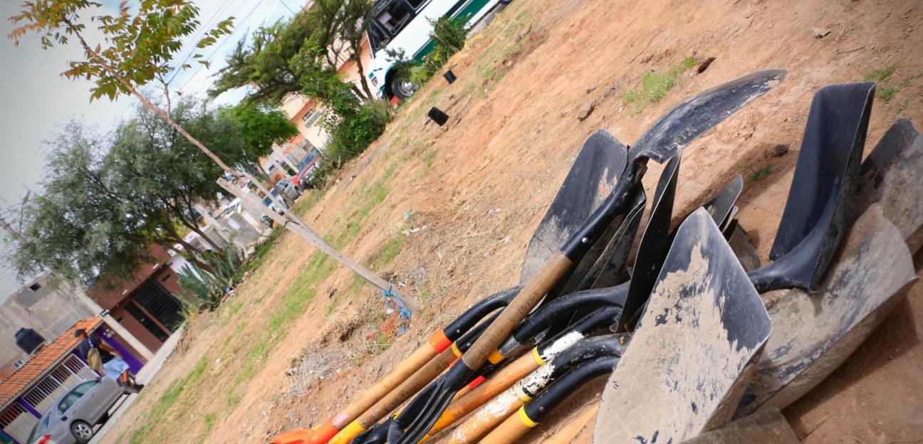 EXITOSA REFORESTACIÓN DE ÁREAS VERDES EN VILLA DE POZOS