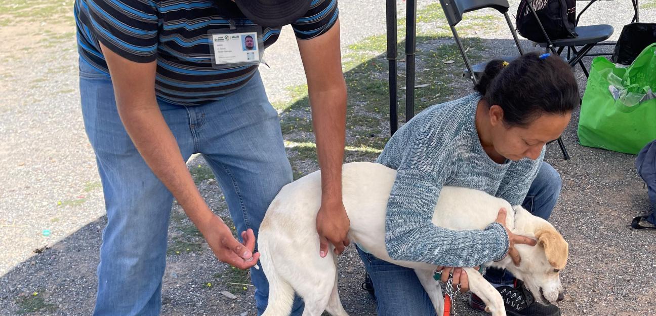 VILLA DE POZOS REALIZÓ EXITOSA VACUNACIÓN ANTIRRÁBICA EN OLINDA