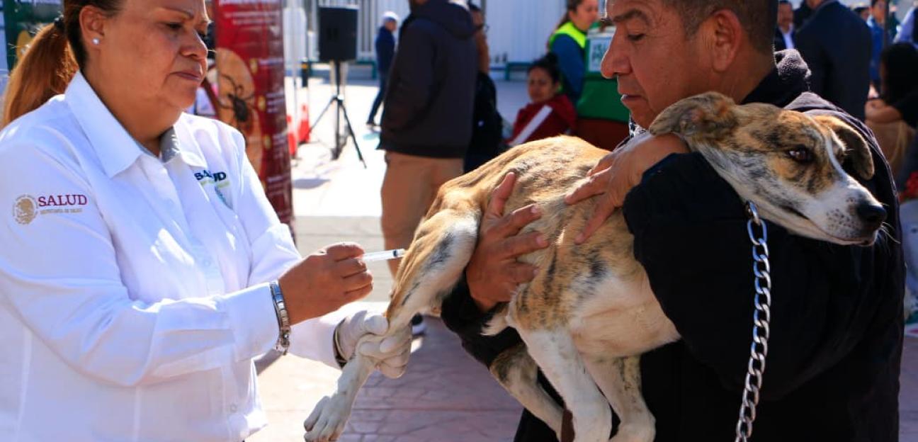 ARRANCA EN VILLA DE POZOS SEMANA NACIONAL DE VACUNACIÓN ANTIRRÁBICA