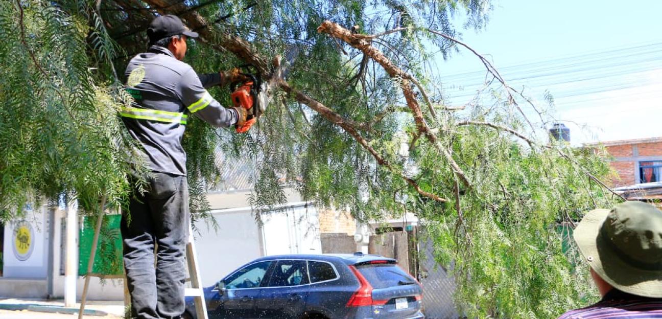 FORTALECE VILLA DE POZOS MANTENIMIENTO URBANO
