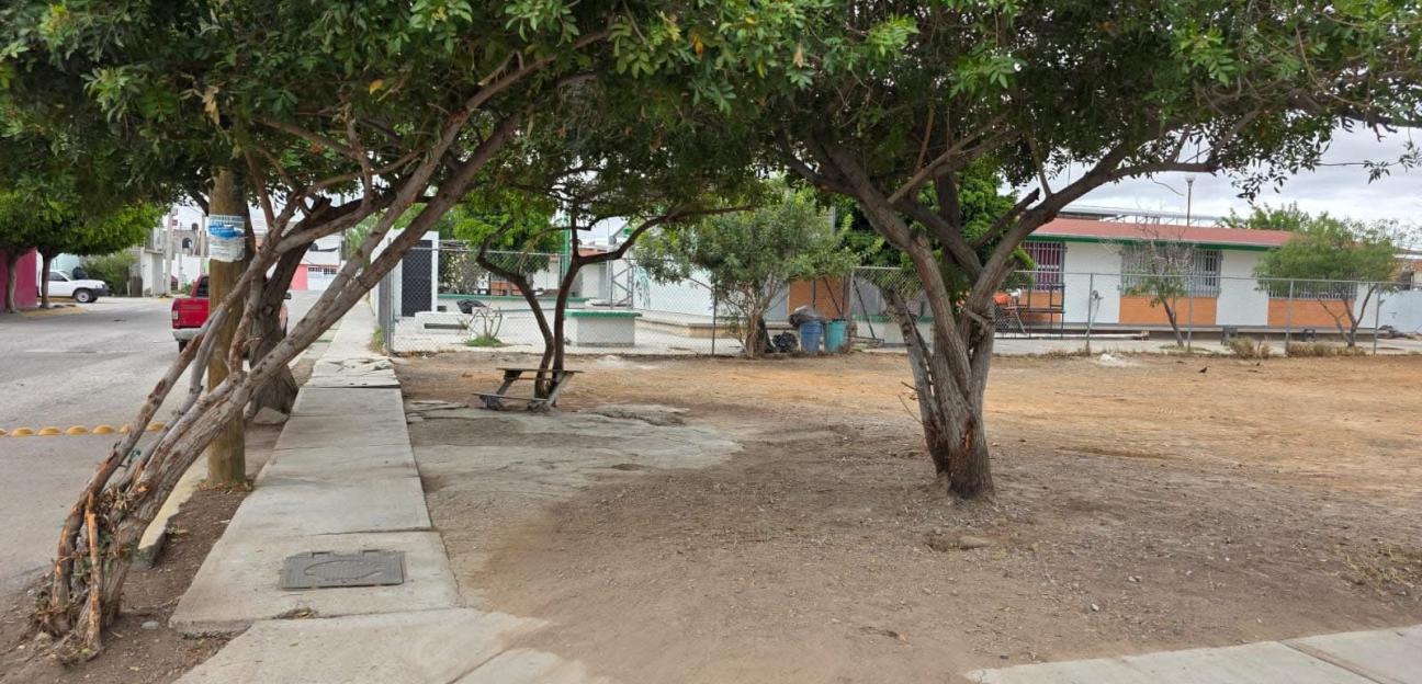 RESCATAN ÁREA VERDE EN MISIÓN DEL PALMAR PARA BENEFICIO DE COMUNIDAD ESCOLAR