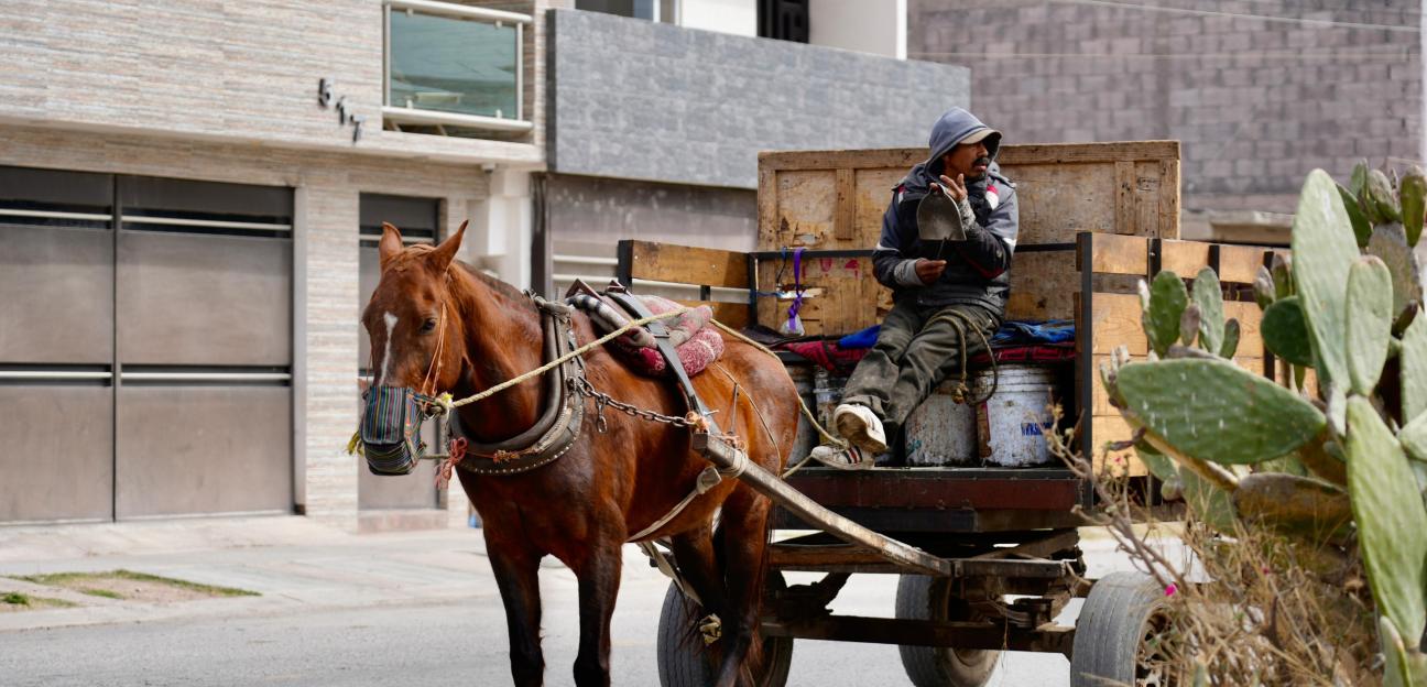 VILLA DE POZOS AVANZA EN LA SUSTITUCIÓN DE UNIDADES DE TRACCIÓN ANIMAL