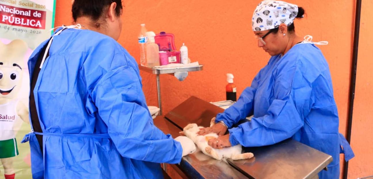 VILLA DE POZOS CONTINÚA CON ACCIONES DE BIENESTAR ANIMAL