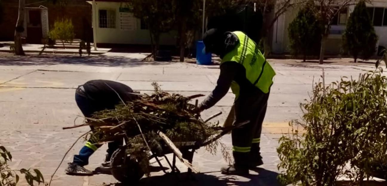 REALIZA VILLA DE POZOS PODA PREVENTIVA EN CENTROS EDUCATIVOS