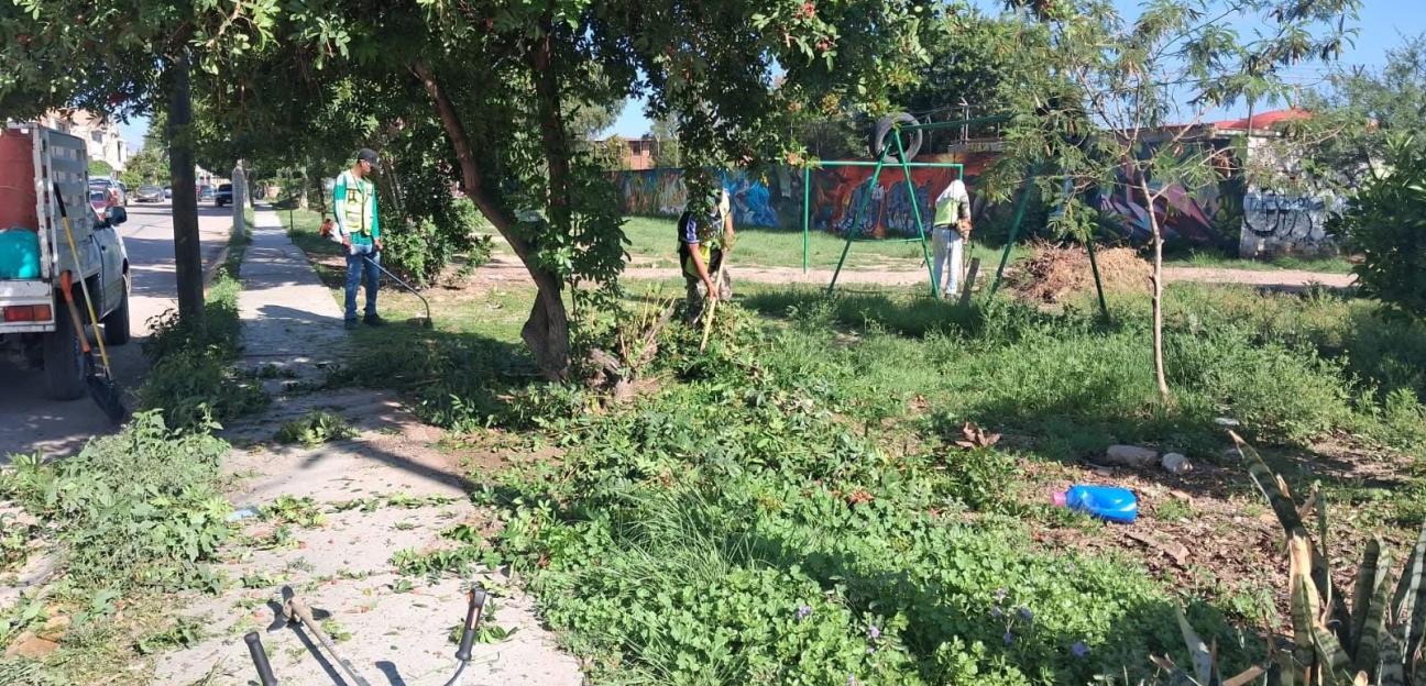 VILLA DE POZOS MEJORA IMAGEN URBANA CON LIMPIEZA DE ÁREA VERDE