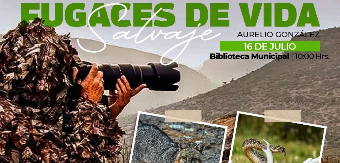 VILLA DE POZOS ACERCA EL ARTE DE LA FOTOGRAFÍA CON EXPOSICIÓN DE VIDA SALVAJE