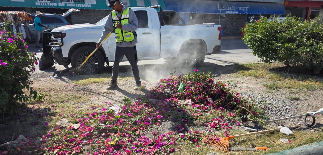 VILLA DE POZOS MEJORA IMAGEN URBANA DE LA LIBERTAD CON TRABAJOS DE LIMPIEZA Y MANTENIMIENTOS