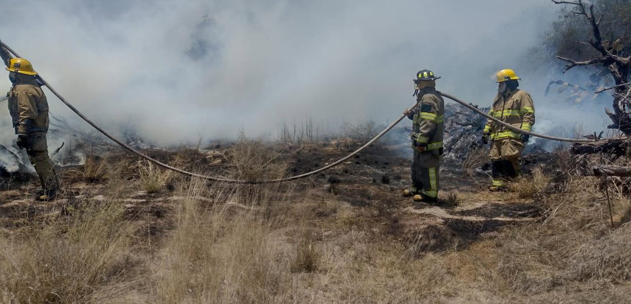 INCENDIOS FORESTALES Y DE PASTIZALES DISMINUYEN 50 POR CIENTO EN VILLA DE POZOS