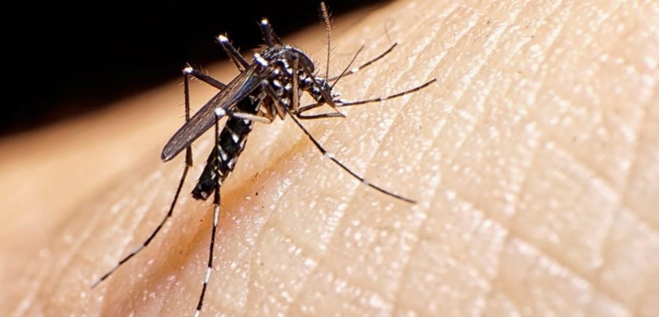 VILLA DE POZOS SE SUMA A LA SEMANA NACIONAL “HOGAR SIN MOSQUITOS, FAMILIA PROTEGIDA”