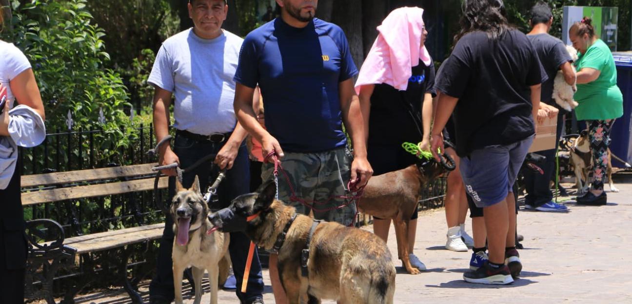CON GRAN PARTICIPACIÓN, VILLA DE POZOS ESTÁ LISTO PARA LA CARRERA PETRUN