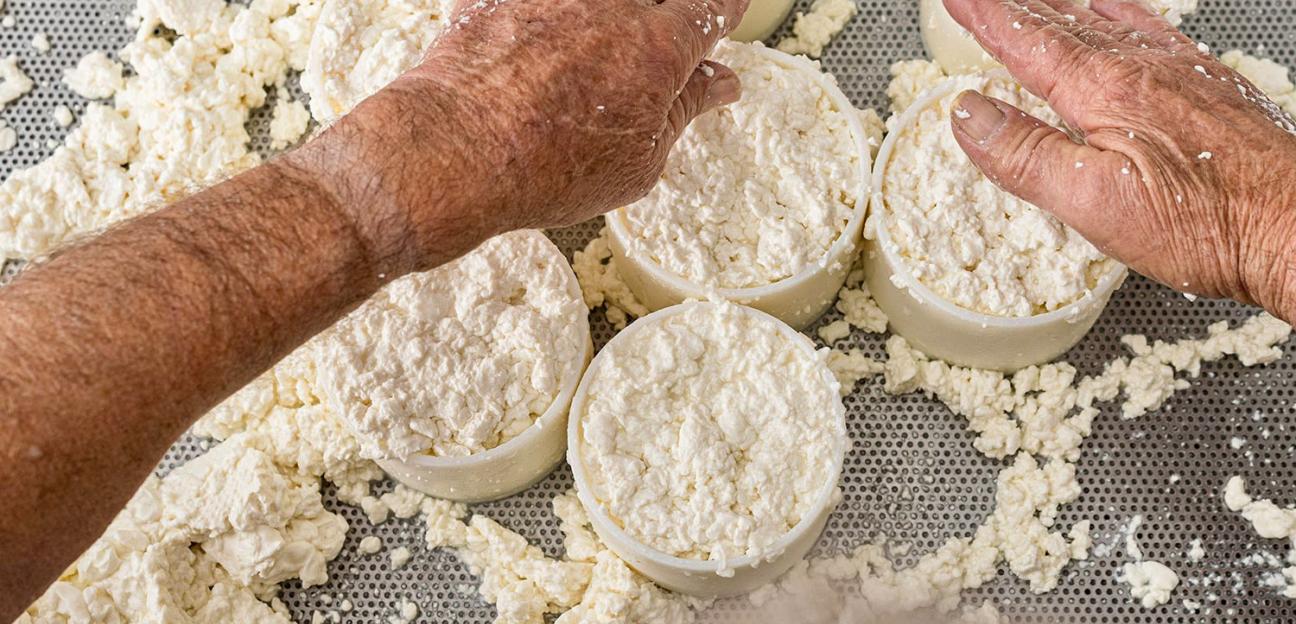 VILLA DE POZOS OBTIENE AMPLIA RESPUESTA DE PRODUCTORES PARA PARTICIPAR EN LA FERIA DEL QUESO