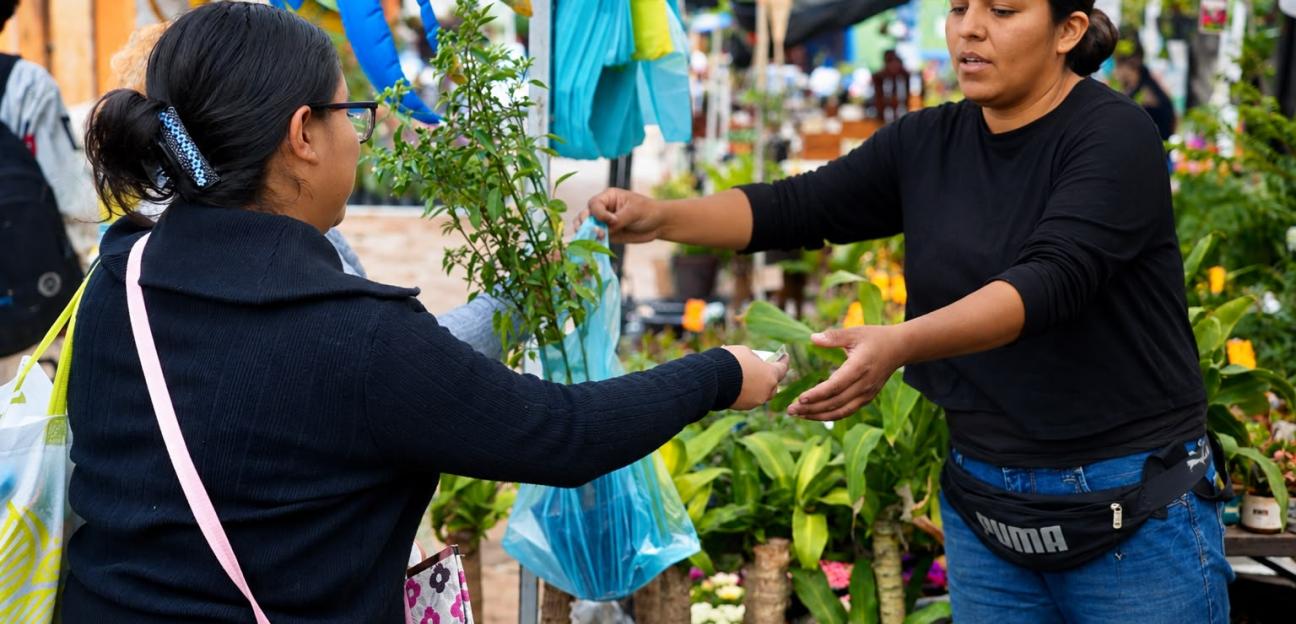 PRIMERA FERIA DE LAS FLORES FLORECE CON ÉXITO EN VILLA DE POZOS