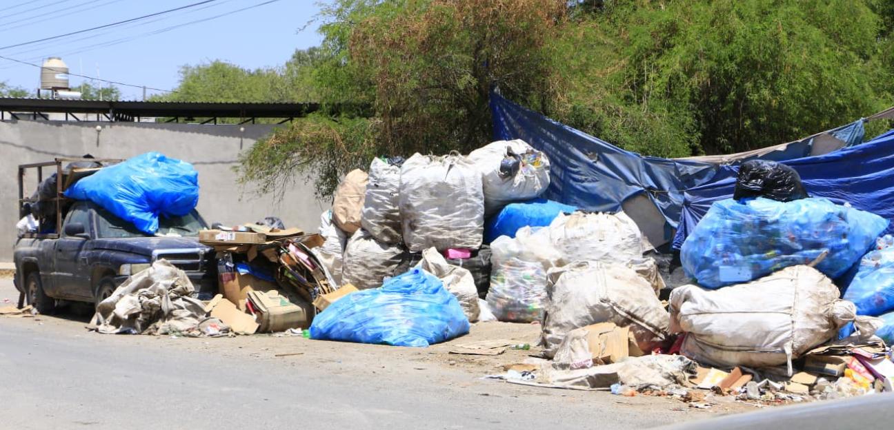 VILLA DE POZOS REFUERZA ACCIONES PARA PROTEGER A ANIMALES DE CARGA