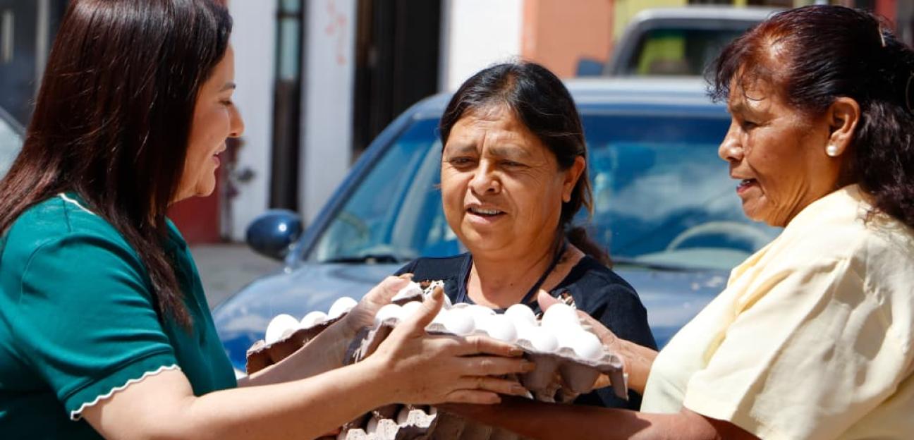 VILLA DE POZOS LLEVA APOYOS ALIMENTARIOS DIRECTAMENTE A LOS HOGARES CON PROGRAMA CASA POR CASA